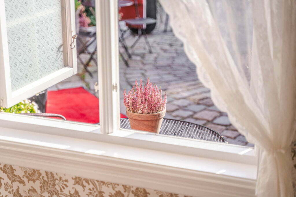 Et bilde av plante på bord i bakgården til Raadhus-stallen, rosa plante